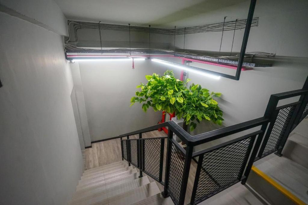Oyo 568 Rajawali Homestay Παλεμπάνγκ Εξωτερικό φωτογραφία