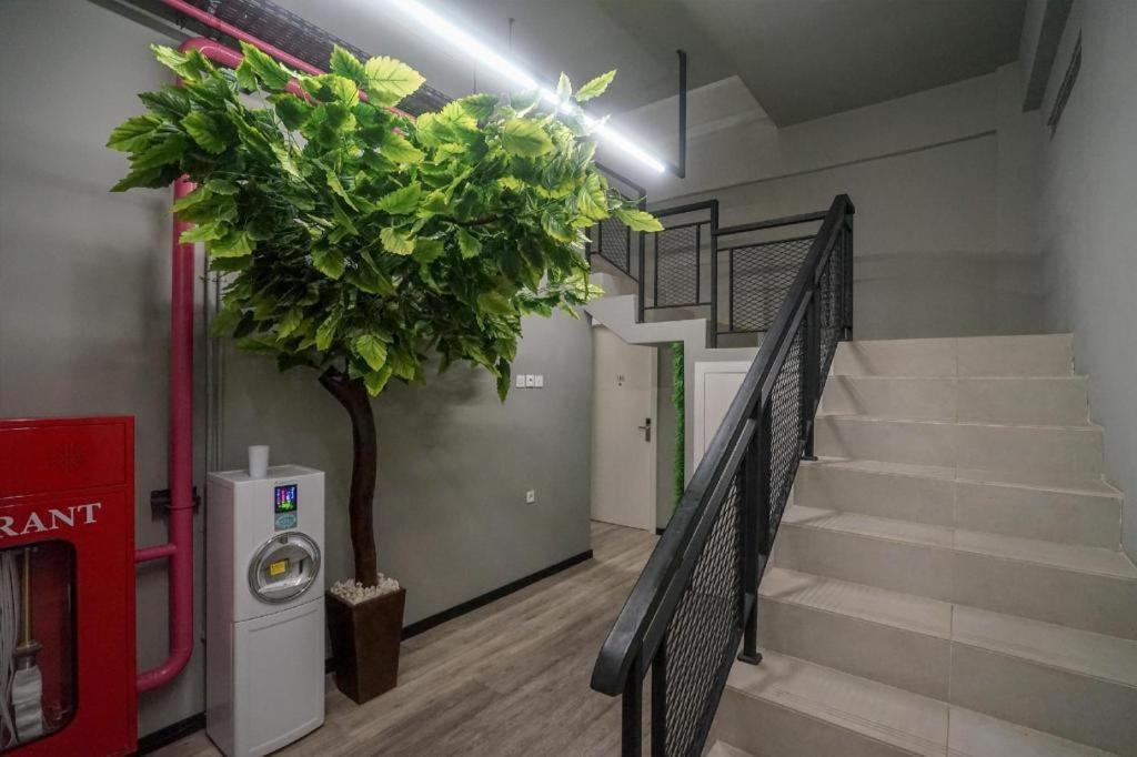 Oyo 568 Rajawali Homestay Παλεμπάνγκ Εξωτερικό φωτογραφία
