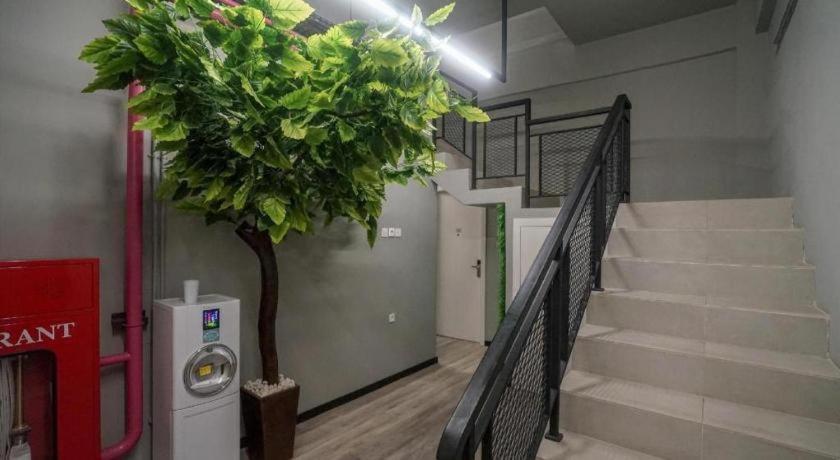 Oyo 568 Rajawali Homestay Παλεμπάνγκ Εξωτερικό φωτογραφία